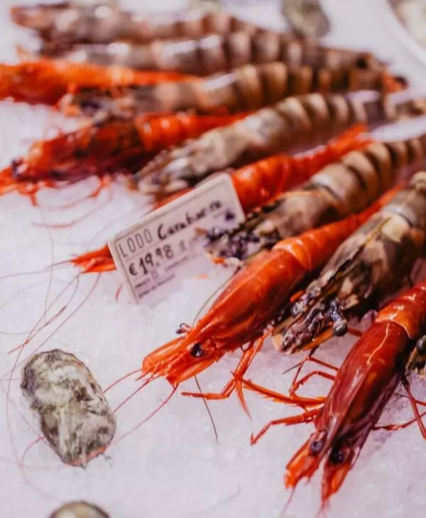 Fresh prawns displayed on ice for sale.