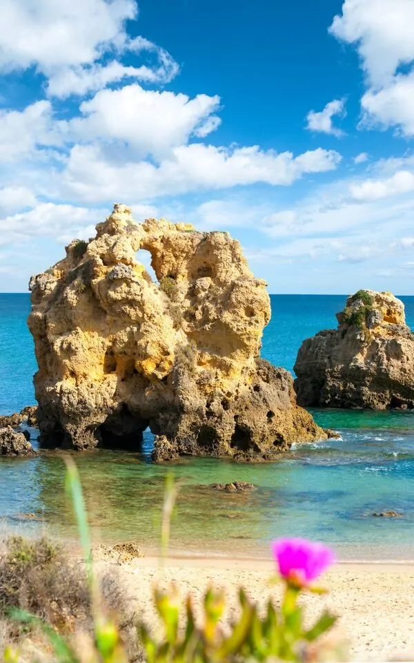 Rocky coastline with clear blue water