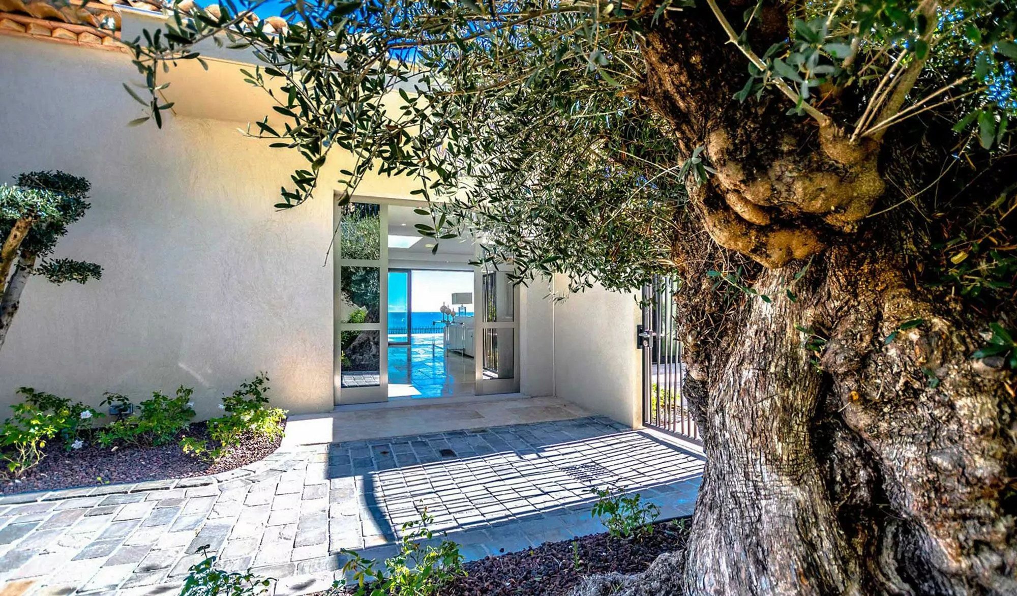 House entrance with olive tree and sea view